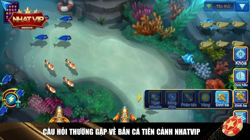 Giải đáp FAQs về Bắn Cá Tiên Cảnh Nhatvip
